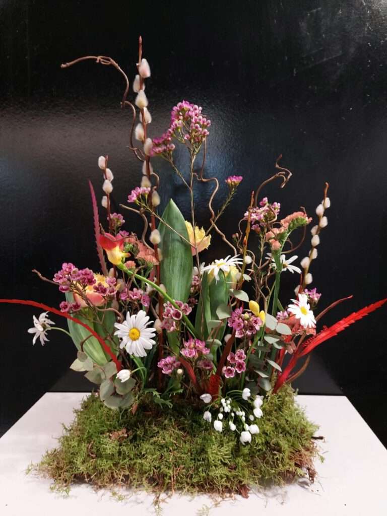 WhatsApp-Image-2026-03-17-at-13.54.033