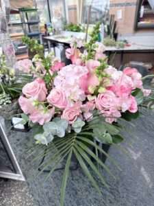 WhatsApp-Image-2026-03-17-at-13.54.034